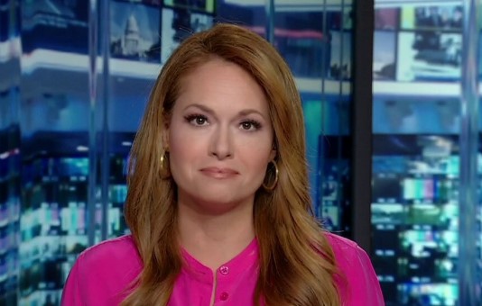 Who Is Gillian Turner? All About the Accomplished News Anchor and Her Career Journey Gillian Turner