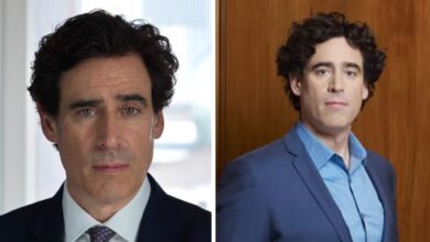 stephen mangan